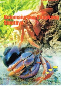 Image of kelomang dan cangkang siputnya