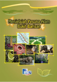 Image of Menjelajah pesona alam bukit barisan