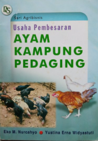 Image of Usaha pembesaran ayam kampung pedaging